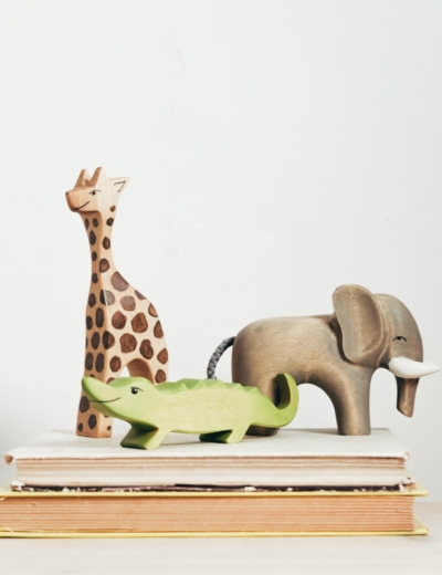 Comment faire découvrir la Bible aux enfants ?