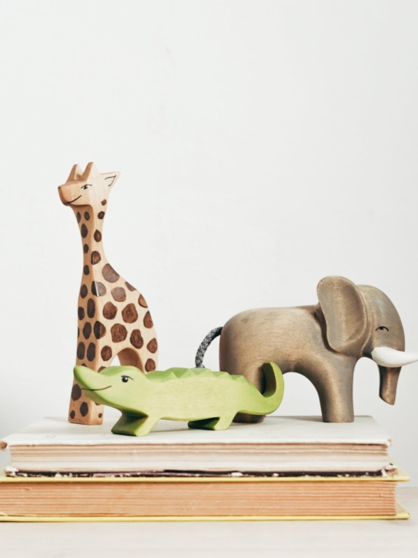 Comment faire découvrir la Bible aux enfants ?